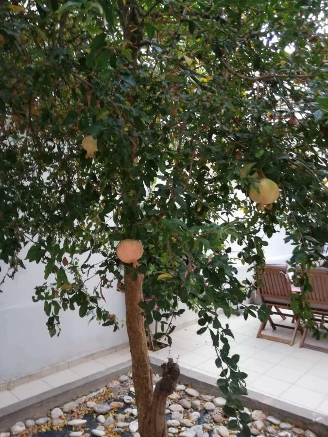 Pomegranate apartment Heraklion (Crete) Exterior foto